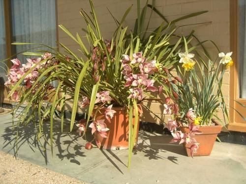 בארינסדייל Travellers Rest Motel מראה חיצוני תמונה